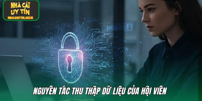 Nguyên tắc thu thập dữ liệu của hội viên